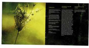 CD Tonight Alive: The Other Side