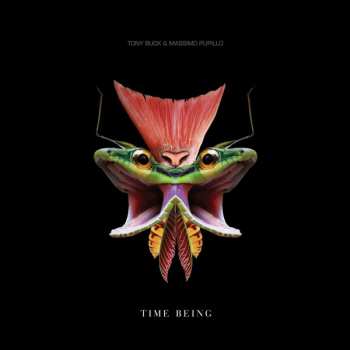 Album Massimo Pupillo: Time Being