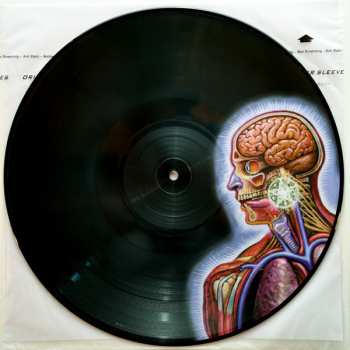 2LP Tool: Lateralus LTD | PIC