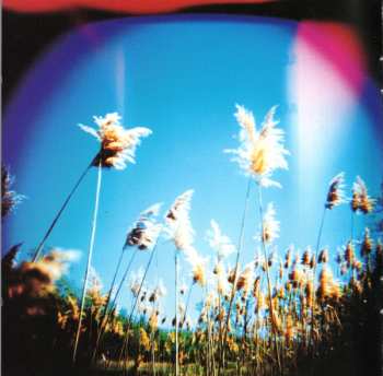 CD Toploader: Magic Hotel