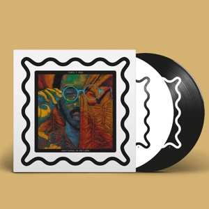 2LP Toro Y Moi: Anything In Return PIC | CLR