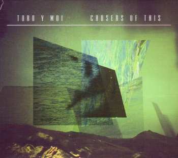 CD Toro Y Moi: Causers Of This