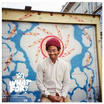 CD Toro Y Moi: What For?