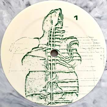 LP Tortoise: Tortoise LTD | CLR