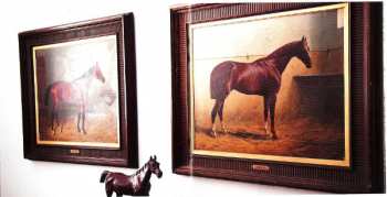 CD Tosca: Pony No Hassle Versions