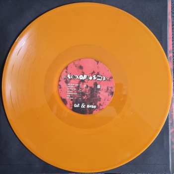 LP Toxoplasma: Gut & Böse CLR | LTD