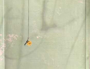 CD Tracy Bonham: Blink The Brightest