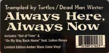 LP Trampled By Turtles: Always Here Always Now CLR | LTD