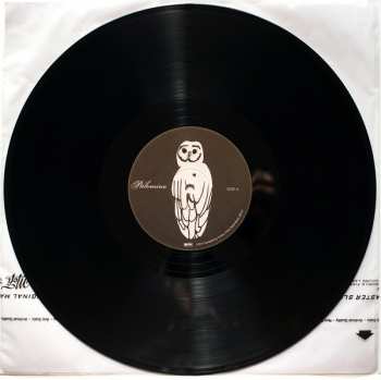 LP Trampled By Turtles: Palomino