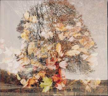 CD Transit: Young New England