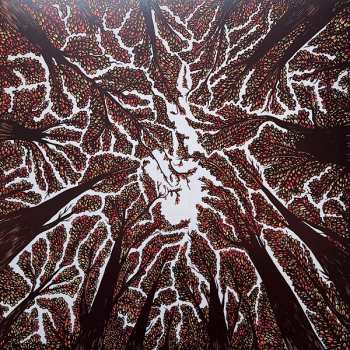 LP Trash Boat: Crown Shyness CLR
