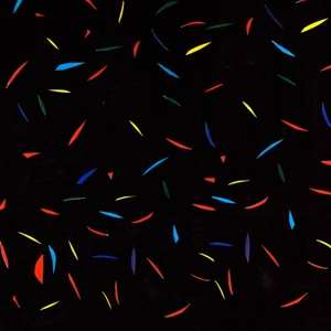 CD Trash Kit: Horizon