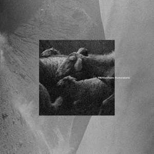 LP Träumen Von Aurora: Manifesto Rumoratorio