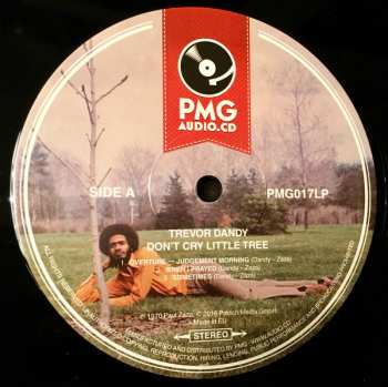 LP Trevor Dandy: Don't Cry Little Tree