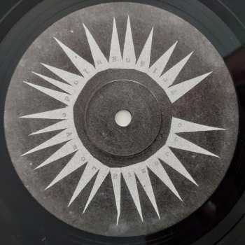 LP Triángulo de Amor Bizarro: No Eres Tú LTD