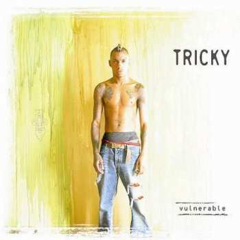 CD/DVD Tricky: Vulnerable DIGI