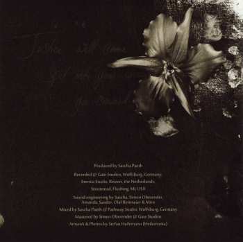 CD Trillium: Alloy DIGI