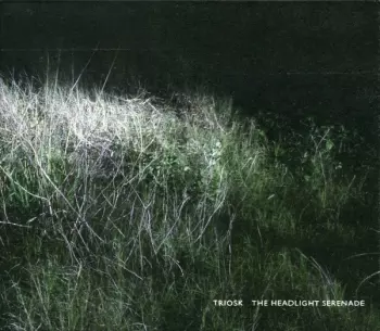 Triosk: The Headlight Serenade