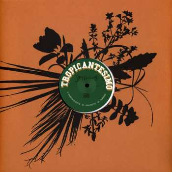 Album Tropicantesimo: Session 3