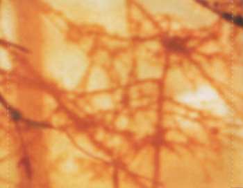 CD Tuomas Kantelinen: Rukajärven Tie (Ambush / Musiikkia Elokuvasta)