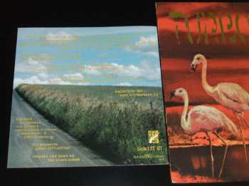 LP Turbostaat: Flamingo LTD