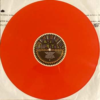 LP Twin Shadow: Twin Shadow