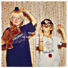 Album Two Gallants: The Bloom And The Blight
