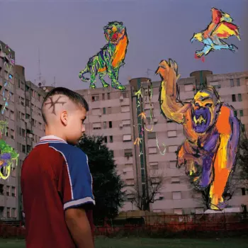 TY1: DJUNGLE