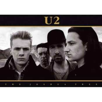 Merch U2: Képeslap Joshua Tree