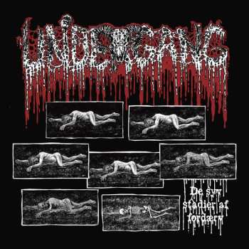 CD Undergang: De Syv Stadier Af Fordaerv (jewel Case)