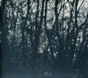 Album Unfold: Cosmogon