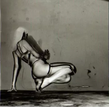 Where Did The Night Fall