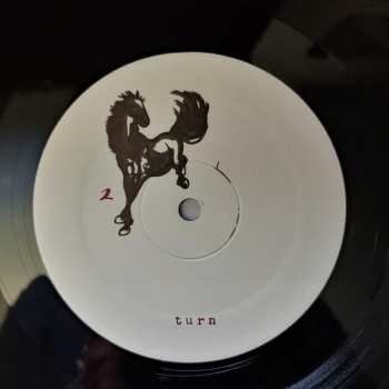 2LP Unwound: Leaves Turn Inside You
