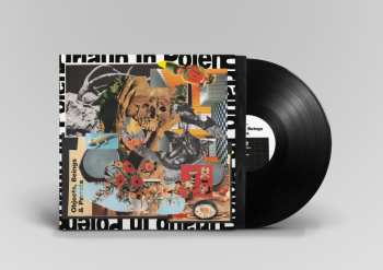 LP Urlaub In Polen: Objects Beings & Parrots