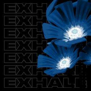 Album Various: Exhale Va004 (part 1)