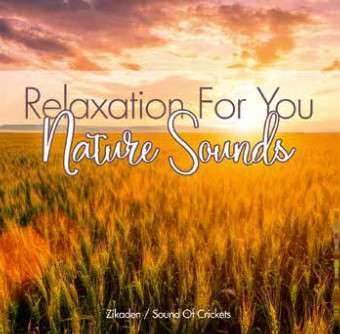 Album Various: Nature Sounds: Zikaden - Sound Of Crickets