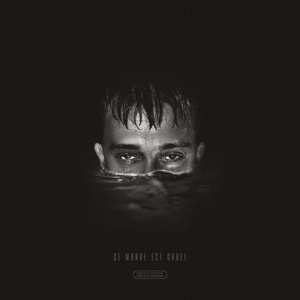 2LP Vald: Ce Monde Est Cruel