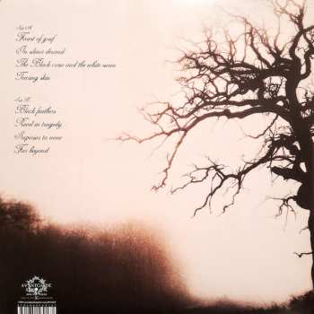 LP Vananidr: In Silence Descent CLR