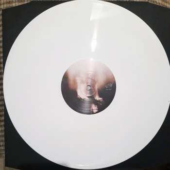 LP Vananidr: In Silence Descent CLR