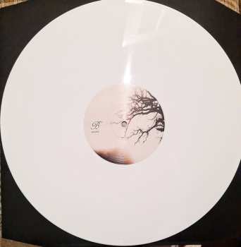 LP Vananidr: In Silence Descent CLR