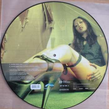 5LP/Dobozkészlet Various: 12" Collector's Picture Disc Box LTD | PIC