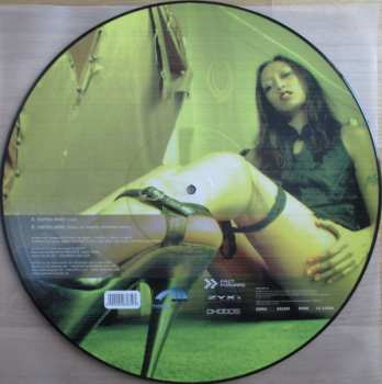 5LP/Dobozkészlet Various: 12" Collector's Picture Vinyl Box House LTD | NUM | PIC