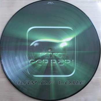 5LP/Dobozkészlet Various: 12" Collector's Picture Vinyl Box House LTD | NUM | PIC