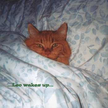 CD Various: A Day In The Life Of Leo: Classical Music For You And Your Cat