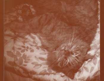 CD Various: A Day In The Life Of Leo: Classical Music For You And Your Cat