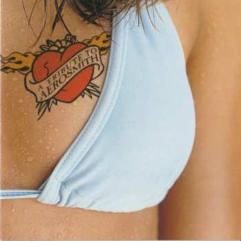 CD Various: A Tribute To Aerosmith