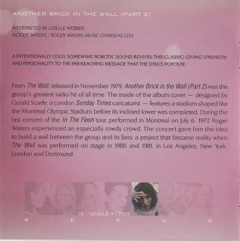 CD Various: Pink Floyd Redux