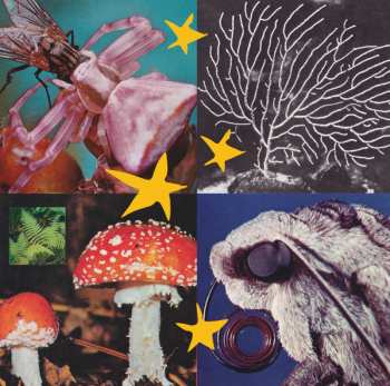 Album Various: All Things Considered 02