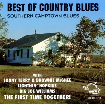Various Artists: Best Of Country Blues