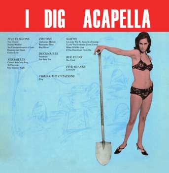 Album Various: I Dig Acappella